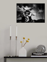 Agave II. Poster och Canvastavla