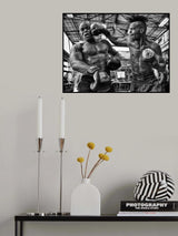 s/t Poster och Canvastavla