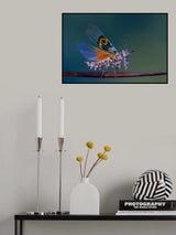 Defence display Poster och Canvastavla
