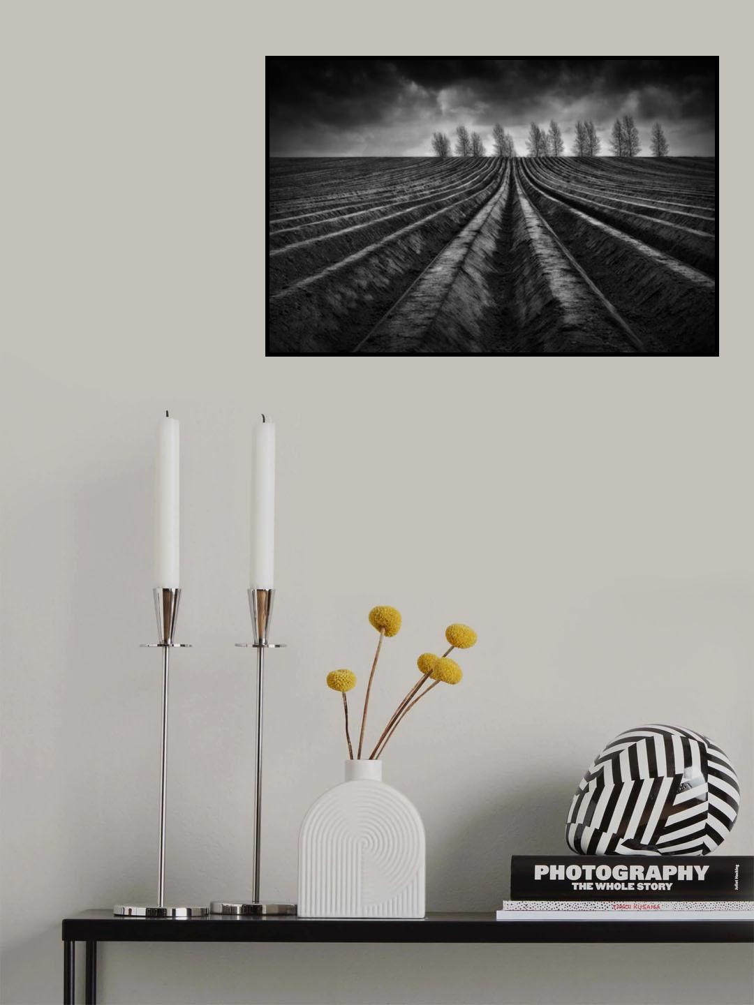Flanders Fields III Poster och Canvastavla