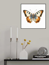 Butterfly 4 Poster och Canvastavla