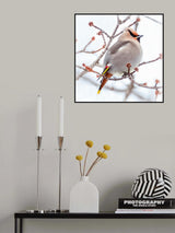 Can you say “who’s a pretty bird?” Poster och Canvastavla