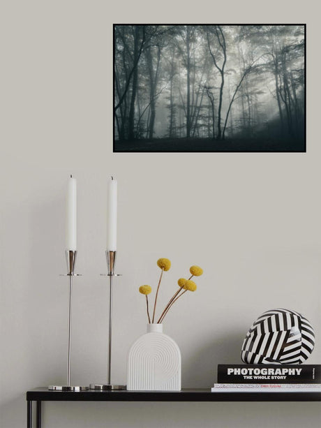 Magic forest Poster och Canvastavla