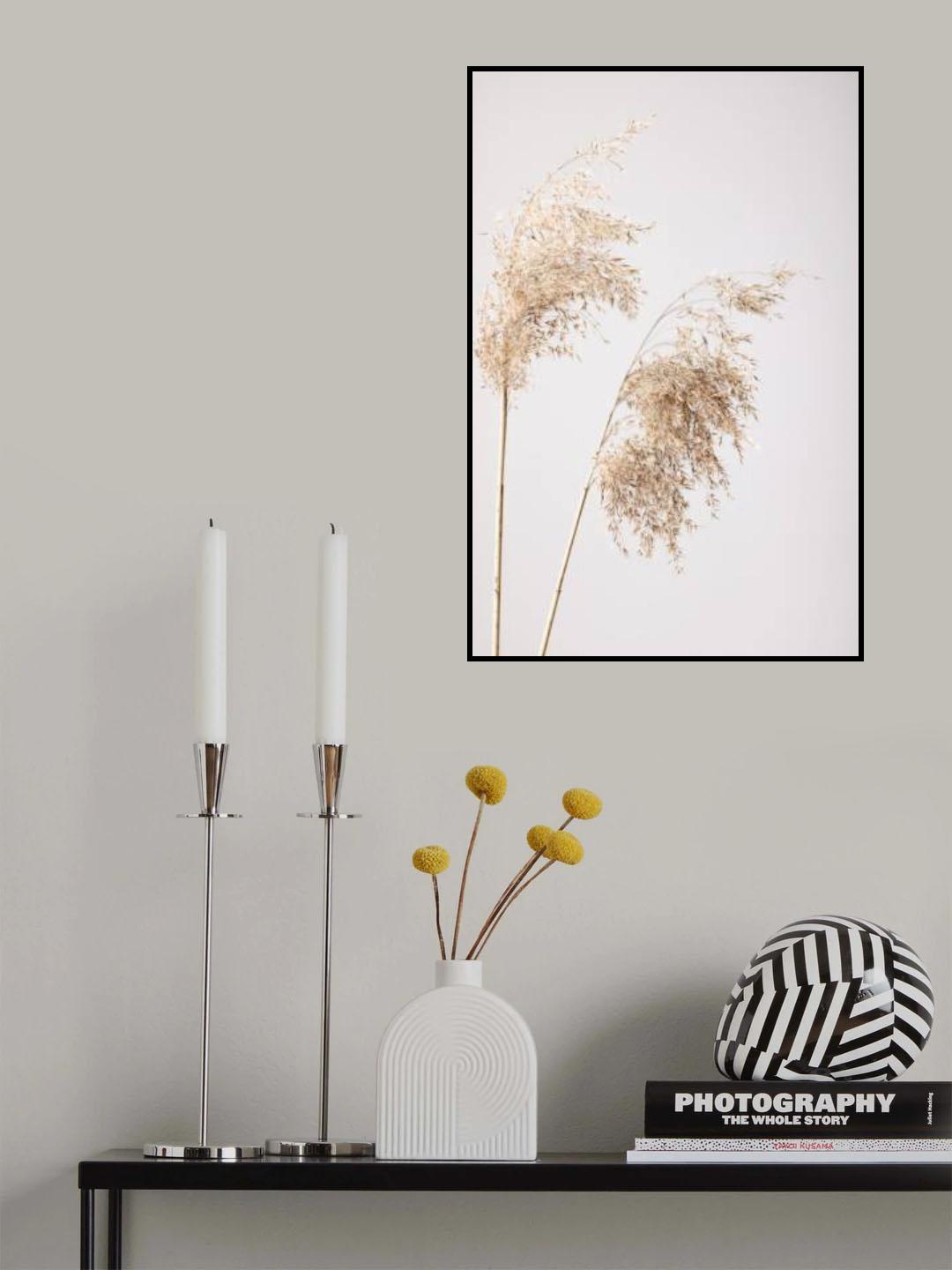 Reed Grass Grey 08 Poster och Canvastavla