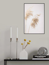 Reed Grass Grey 08 Poster och Canvastavla