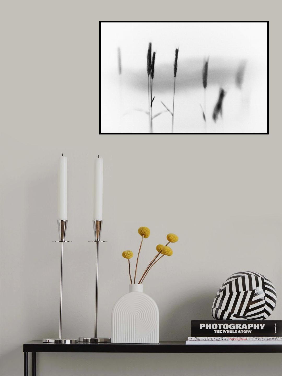 Poster och Canvastavla