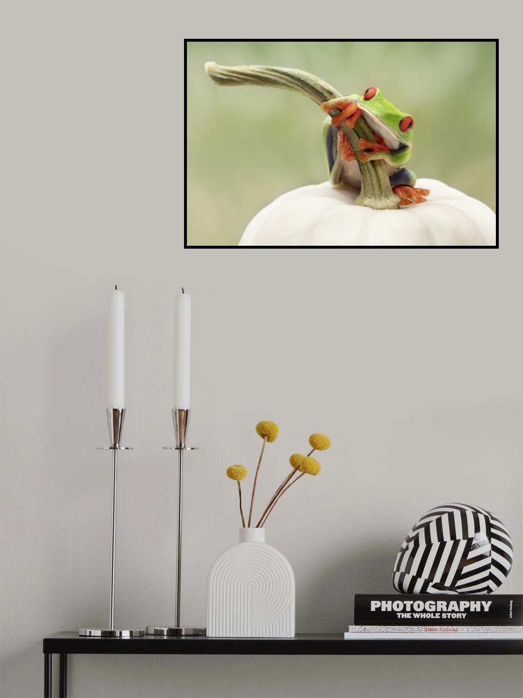 Red Eyed Tree Frog on a White Pumpkin Poster och Canvastavla
