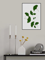 Ginkgo Leaf I Poster och Canvastavla