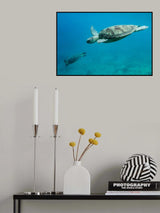 Dive Poster och Canvastavla