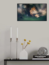 Look in the eyes of autumn Poster och Canvastavla