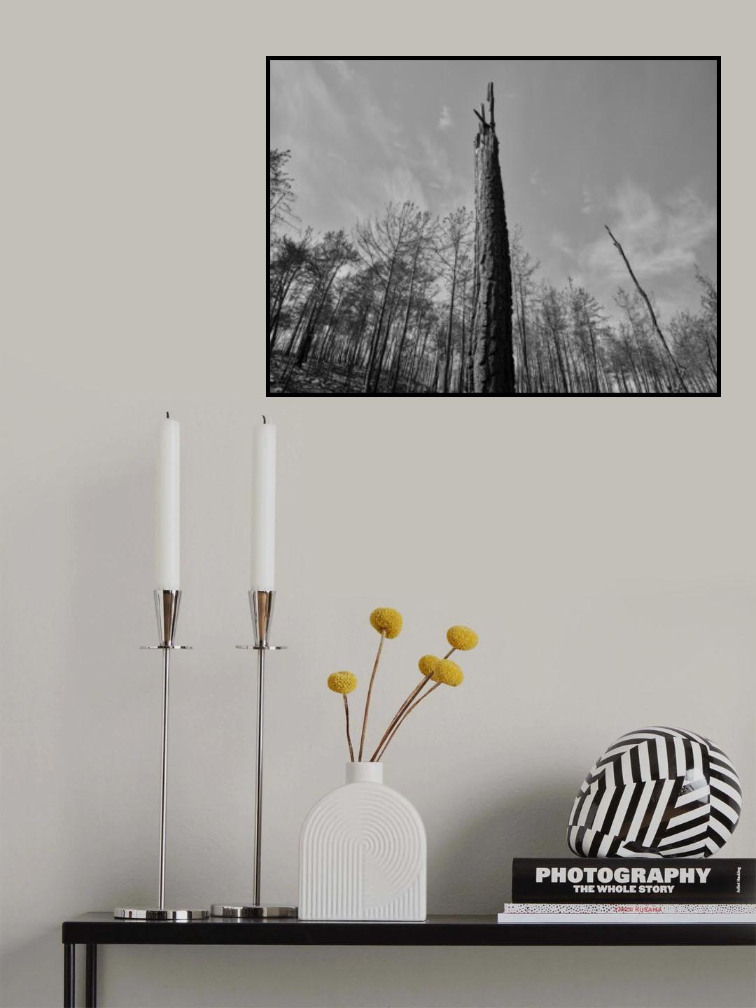 a burned tree Poster och Canvastavla