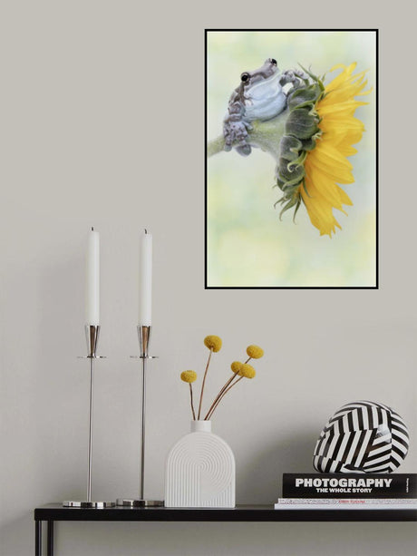 Frog Sunshine Poster och Canvastavla