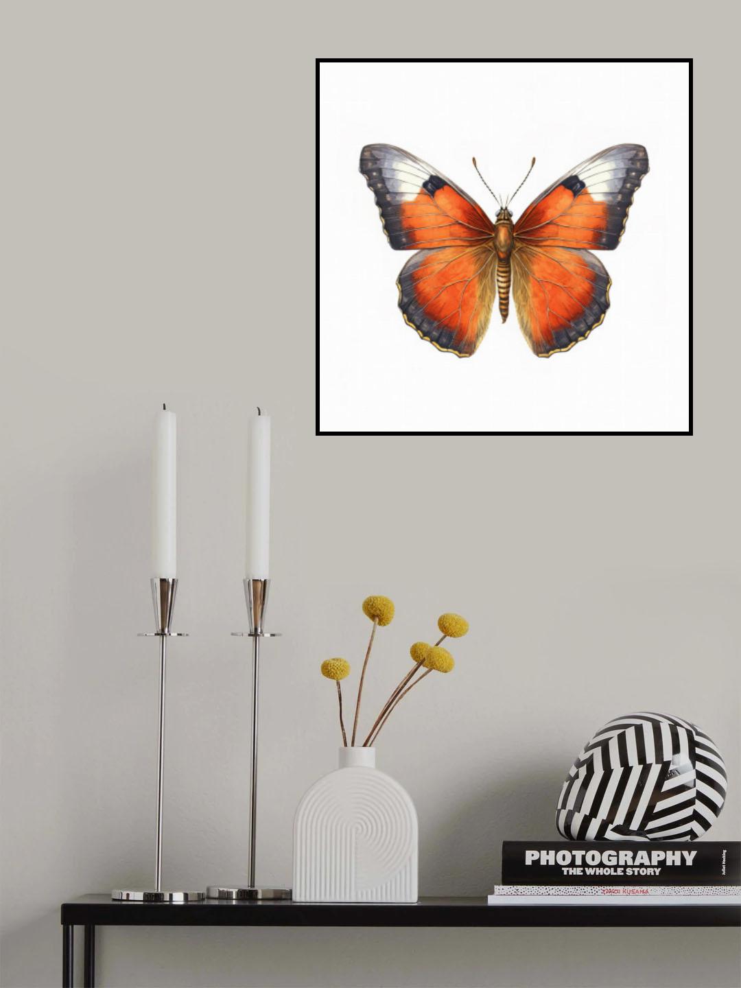 Butterfly 32 Poster och Canvastavla
