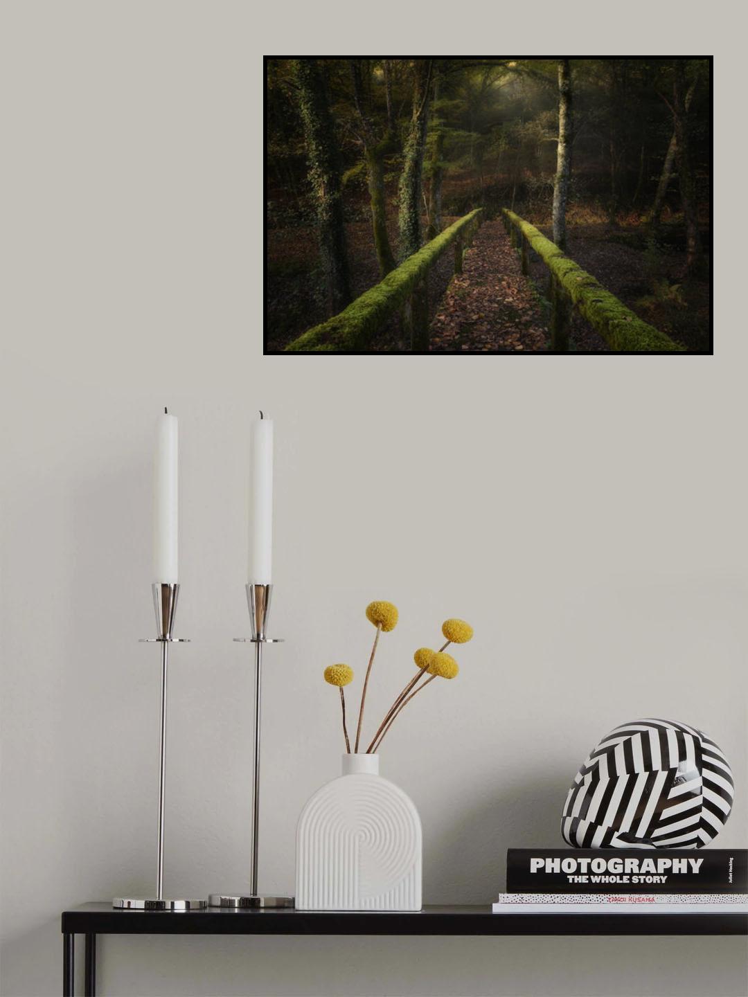 The way to the forest Poster och Canvastavla