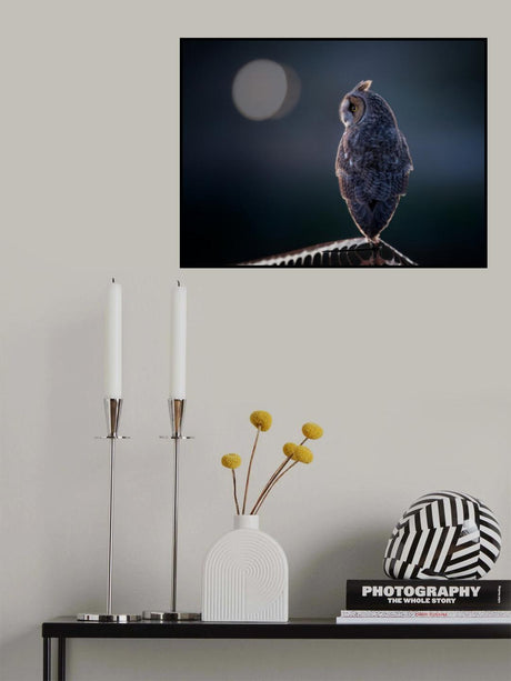 Night Watcher Poster och Canvastavla
