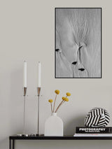 Women Poster och Canvastavla