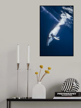 Reversing: Humpback Whale Poster och Canvastavla
