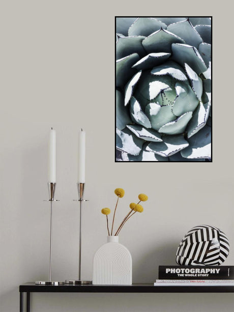 Blue Agave Top Poster och Canvastavla