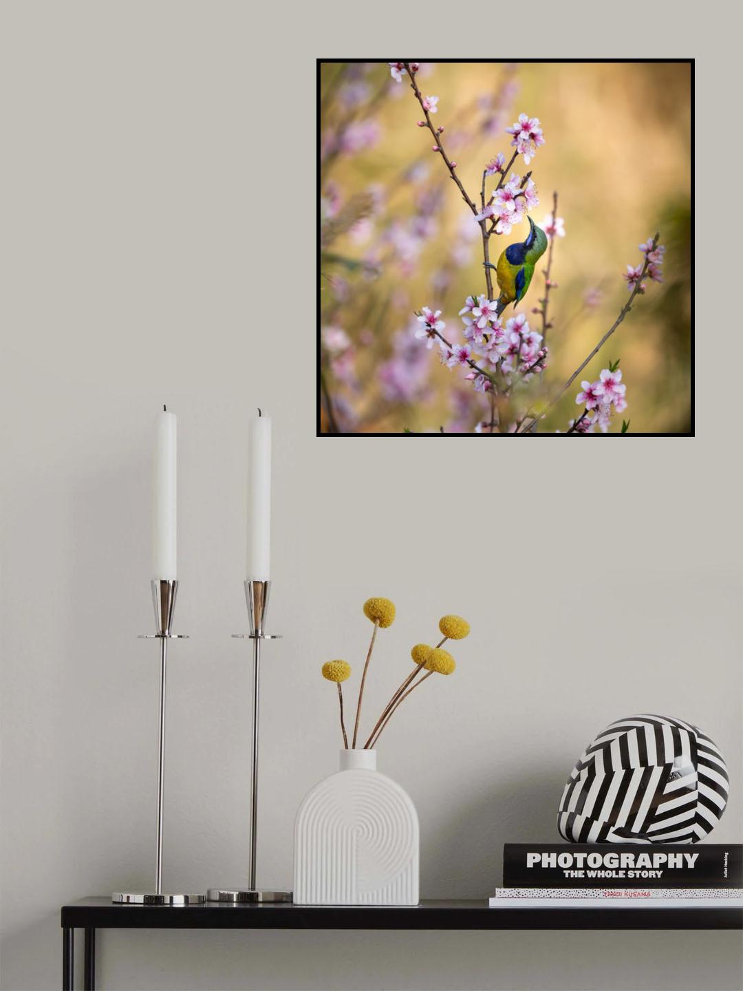 Bird Whispering to the Peach Flower Poster och Canvastavla