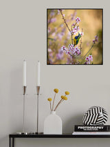 Bird Whispering to the Peach Flower Poster och Canvastavla