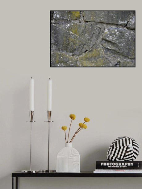 Tex Surface S51 Poster och Canvastavla