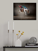 Buckjumping Poster och Canvastavla