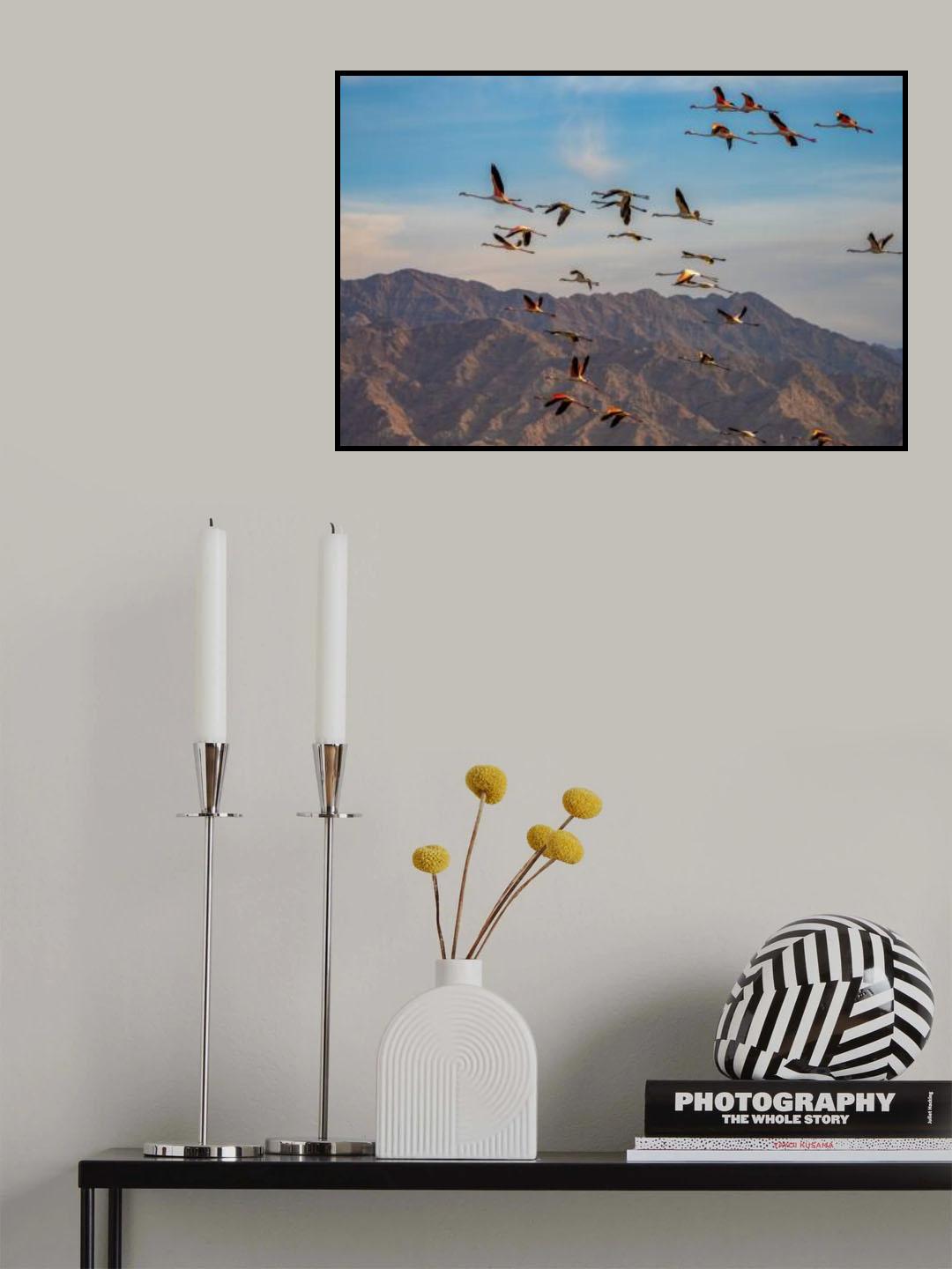 Flamingo's Poster och Canvastavla