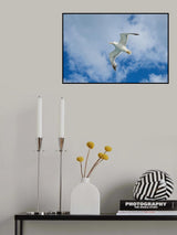 flying seagull Poster och Canvastavla