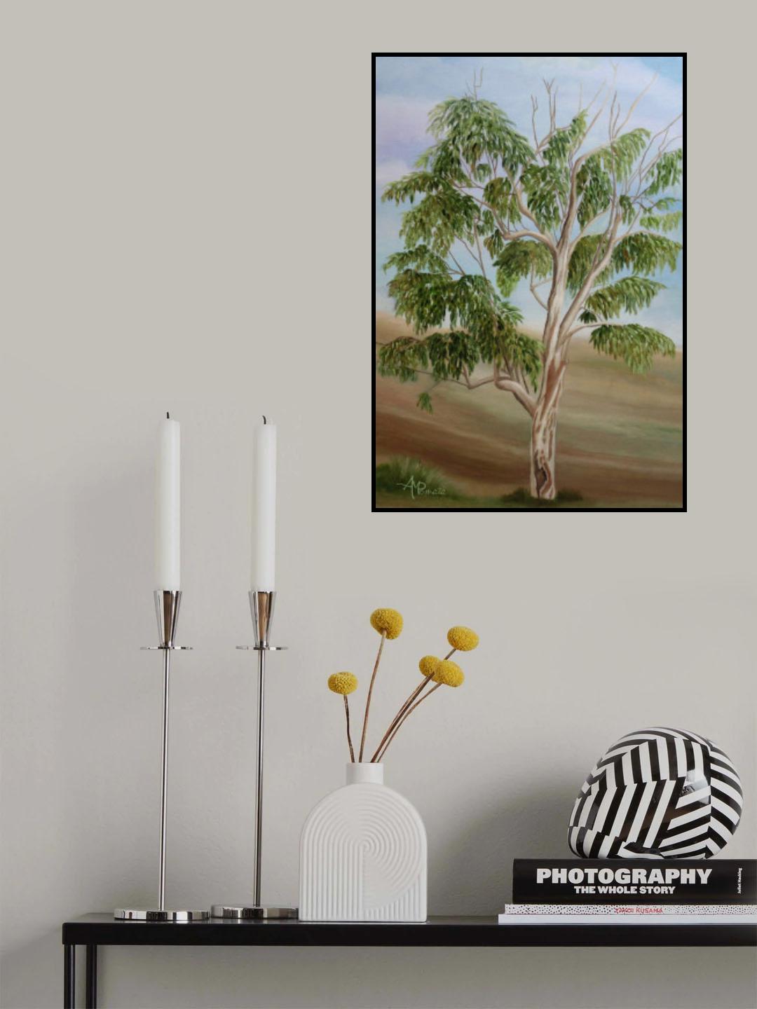 Eukalyptus Poster och Canvastavla