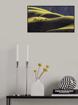 Afternoon Poster och Canvastavla