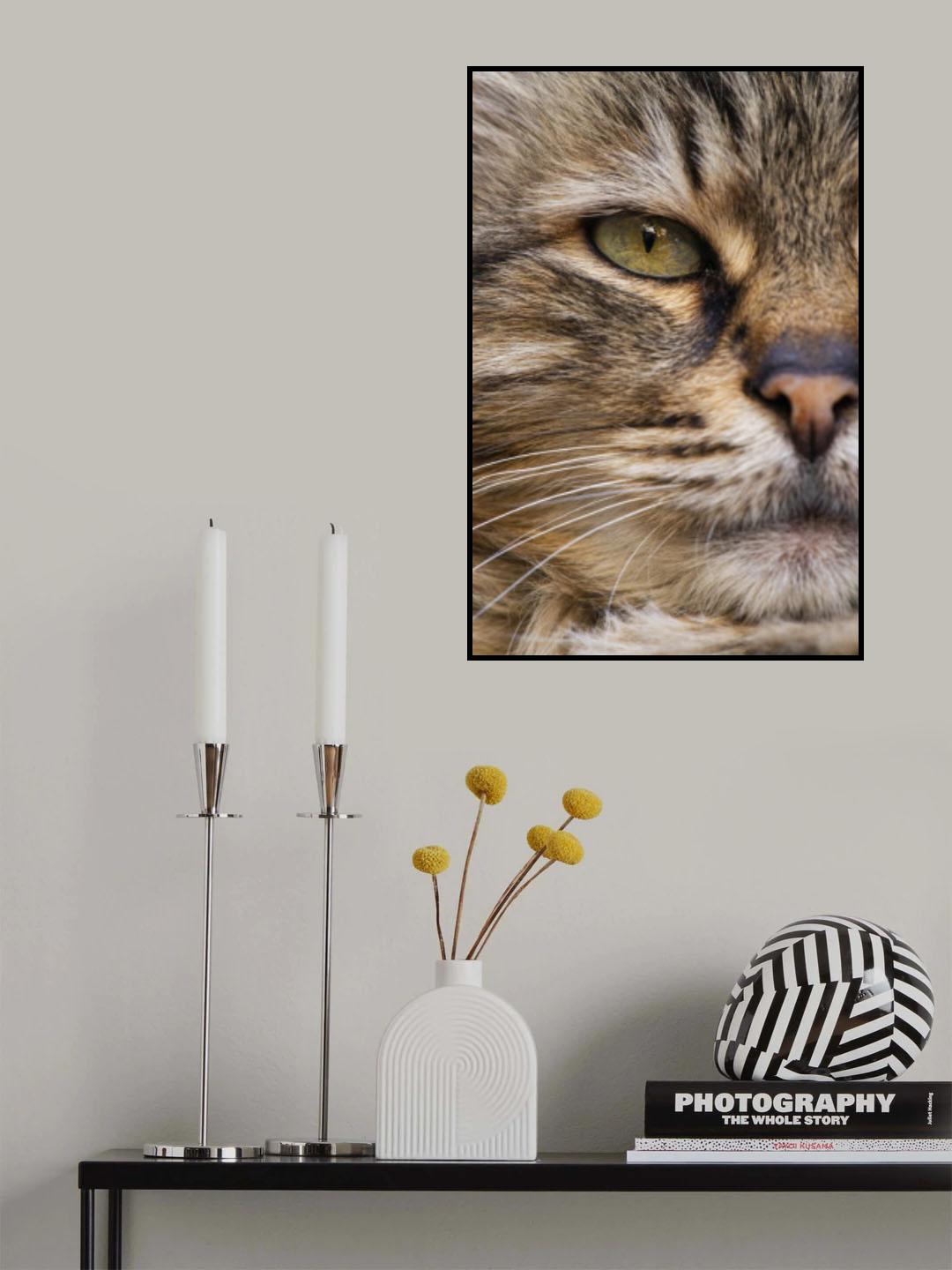 cute cat Poster och Canvastavla