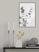 Eucalyptus Creative 08 Poster och Canvastavla