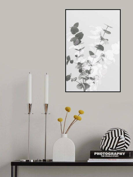 Eucalyptus Creative 08 Poster och Canvastavla