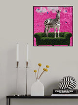 Free Spirited Zebra on a Green Settee Poster och Canvastavla