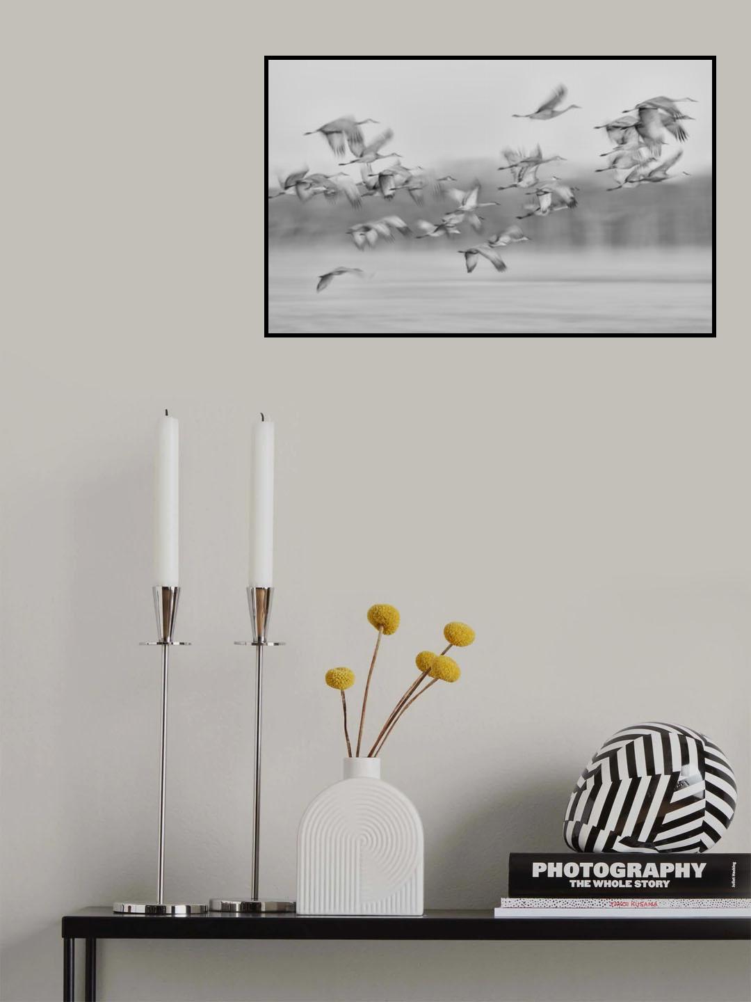 Dream flight Poster och Canvastavla