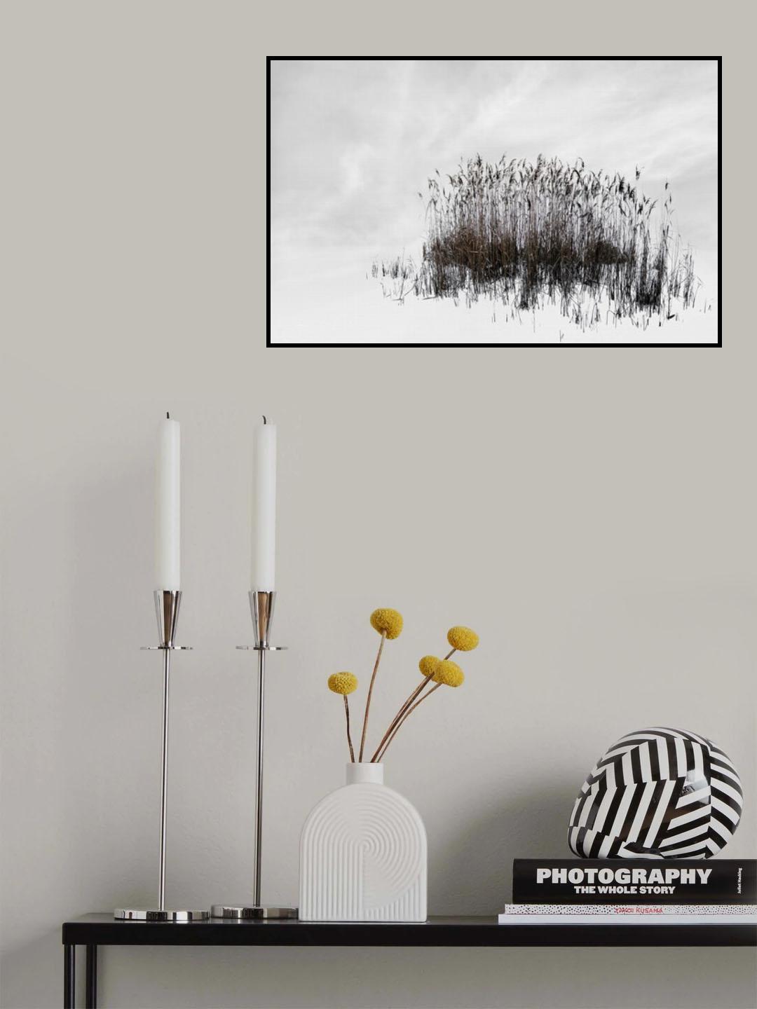 reed bunch Poster och Canvastavla