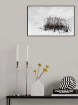 reed bunch Poster och Canvastavla