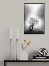 misty morning Poster och Canvastavla