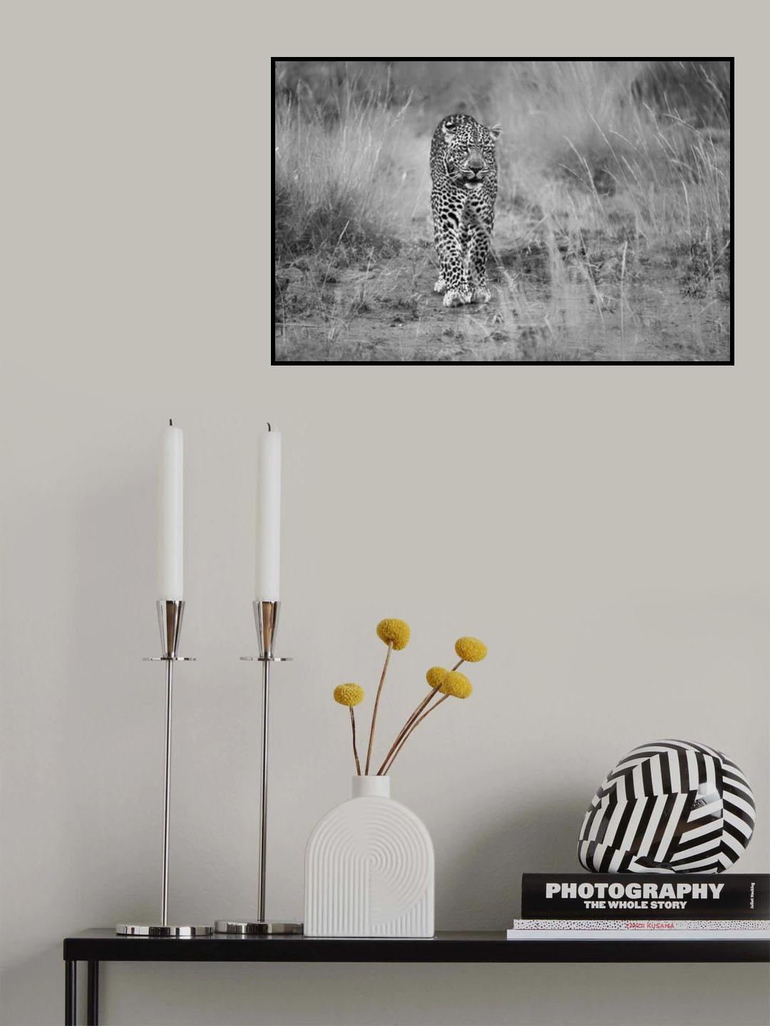 Poster och Canvastavla