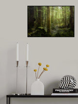Beech Forest Poster och Canvastavla