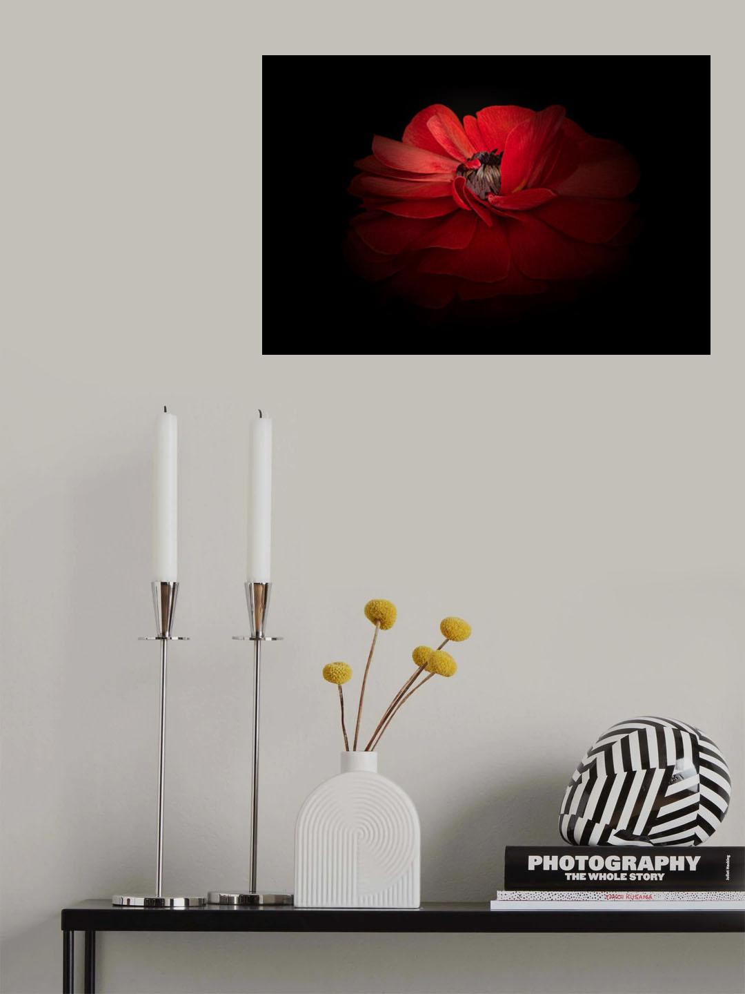 Ruby Dancer Poster och Canvastavla