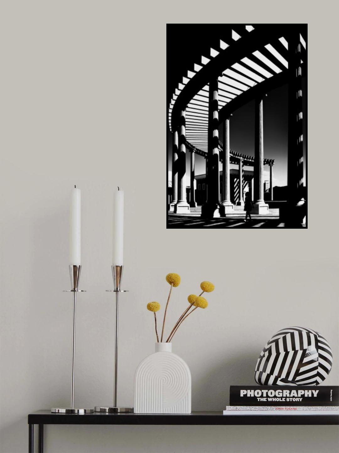 Shadow play Poster och Canvastavla