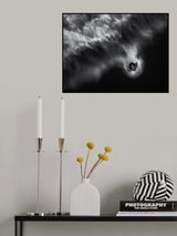Thalassa Poster och Canvastavla