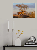 Sisters Poster och Canvastavla