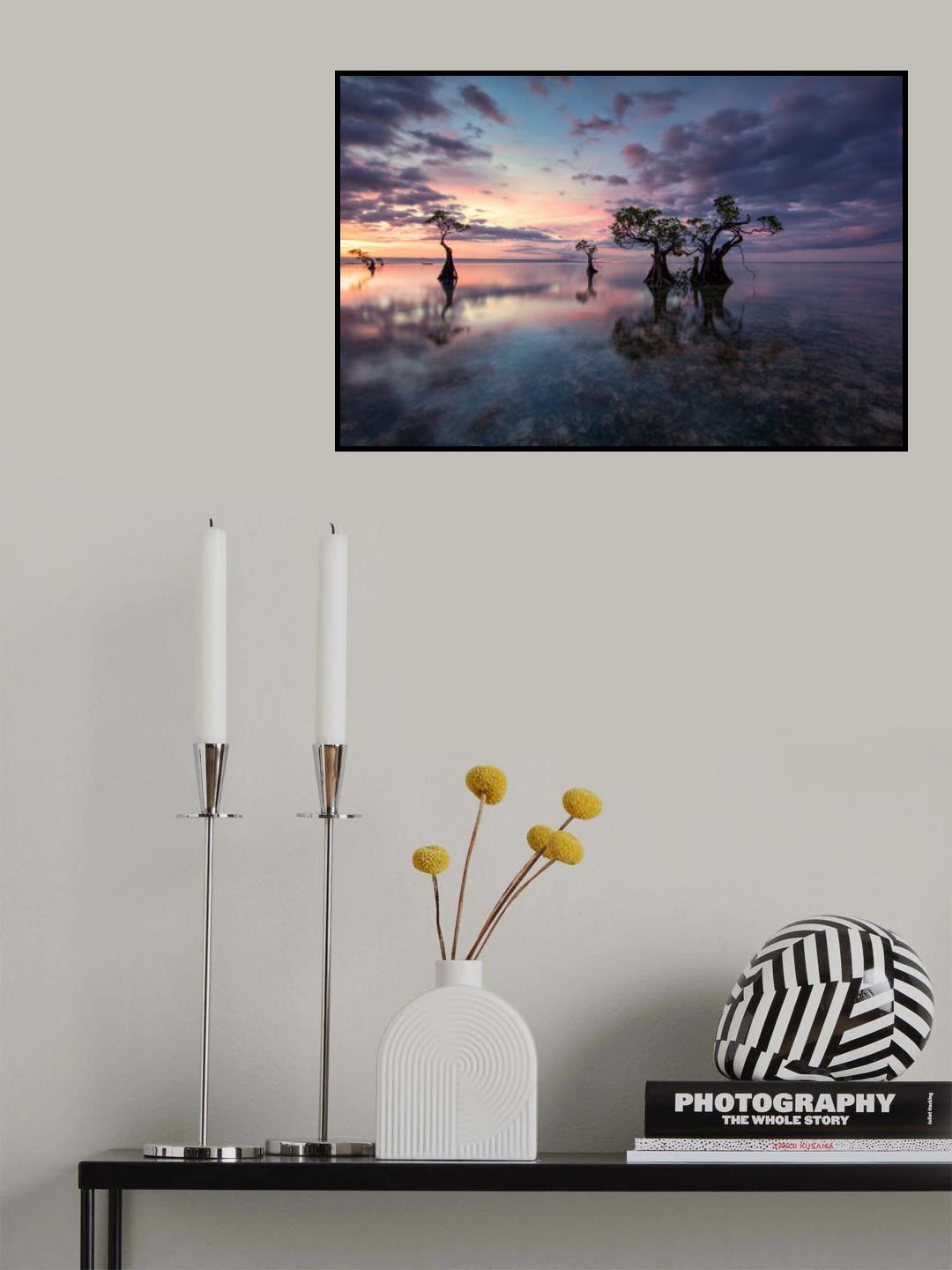Old trees Poster och Canvastavla