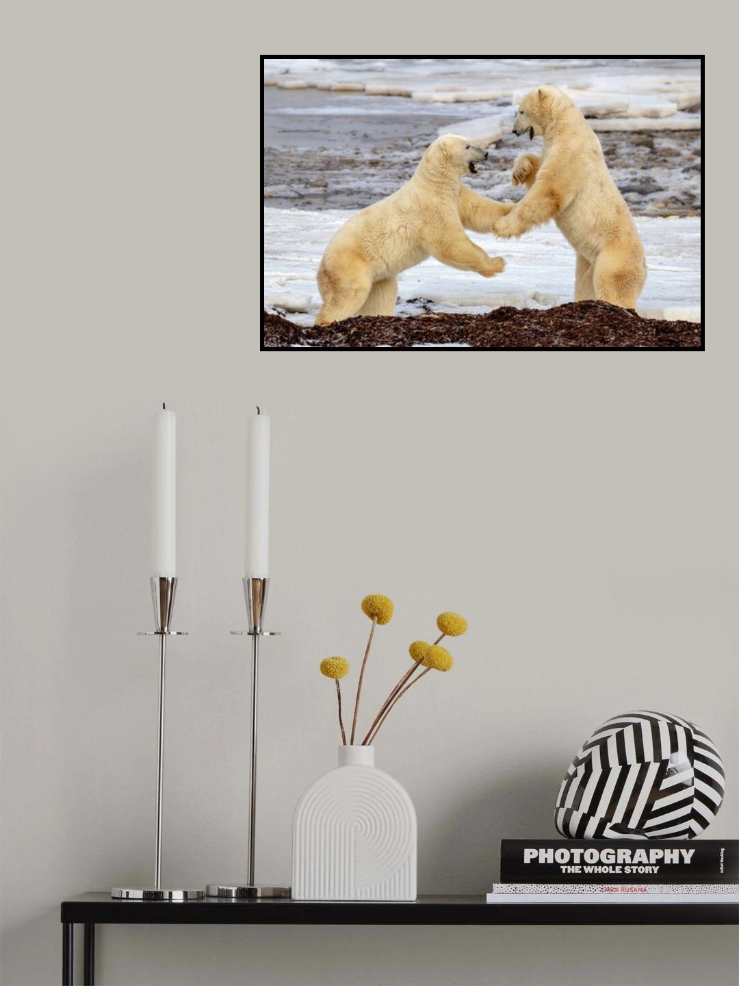 Fight !!! Poster och Canvastavla