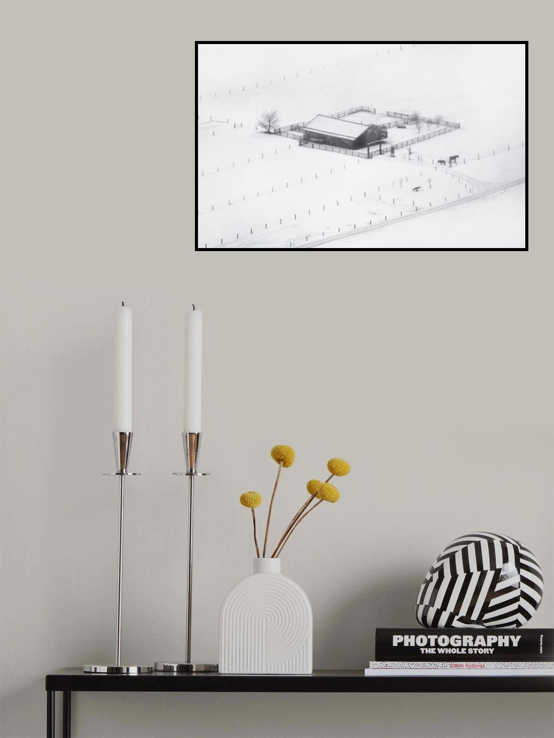 Winter solitude Poster och Canvastavla