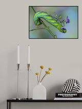 Having breakfast Poster och Canvastavla