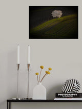 Moravia Poster och Canvastavla