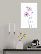 Pastel poppy flower Poster och Canvastavla